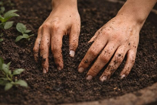 Mãos afundando na terra úmida em prática de como acalmar a ansiedade pelo corpo.